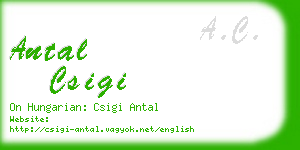 antal csigi business card